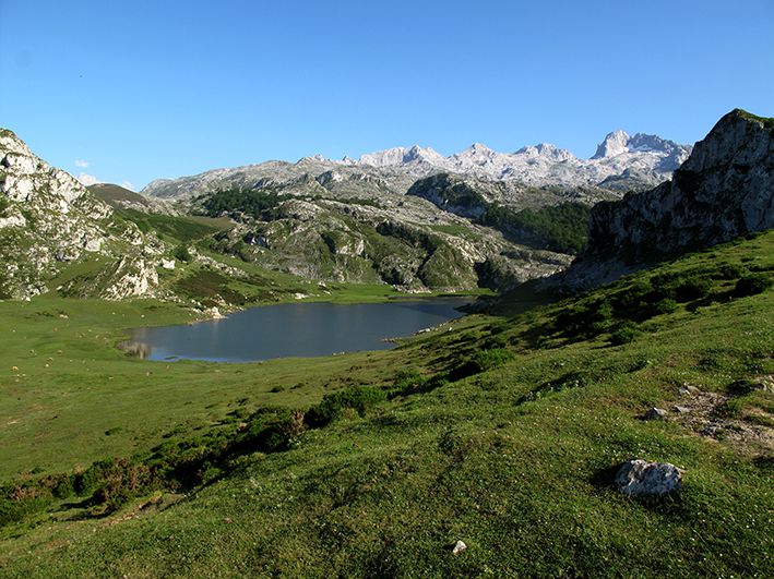 Lago Ercina, Lagos de Covadonga